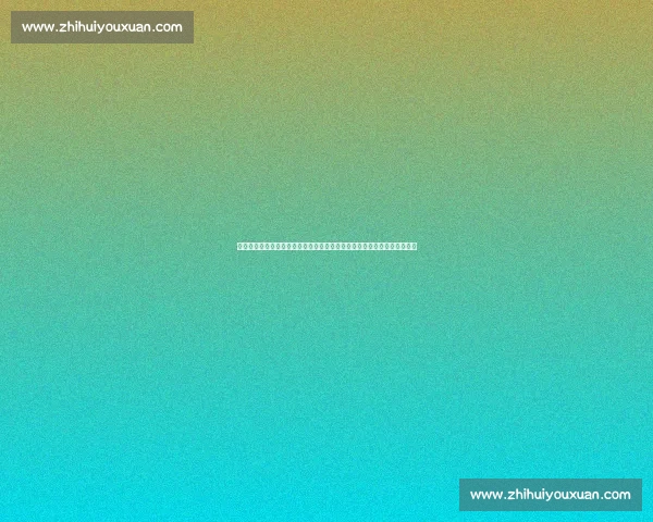 中国传统功夫对决职业泰拳规则技术与实战胜负之争全面解析格斗理念碰撞